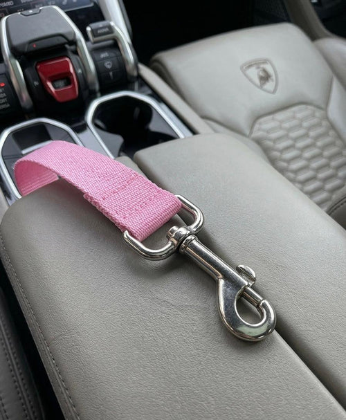 SafeDog™ Pro: La Cintura di Sicurezza Universale